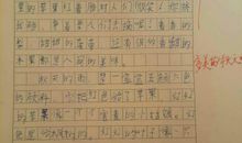 又是一年麦黄时作文