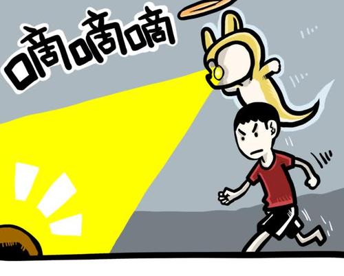 乌龟离家出走