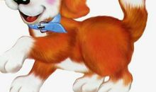 我听见了爱的声音