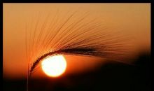 宽容别人，善待自己