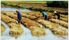 一份付出，一份收获