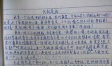 做家务的作文400字