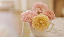 我因爱之羹而与众不同