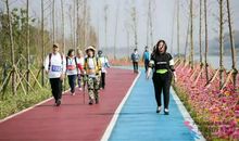 东苕溪畔凤凰红