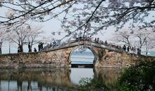 我的家乡好风光