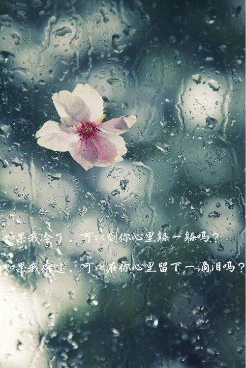 我心中的诗