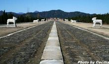 神道不是笔直的