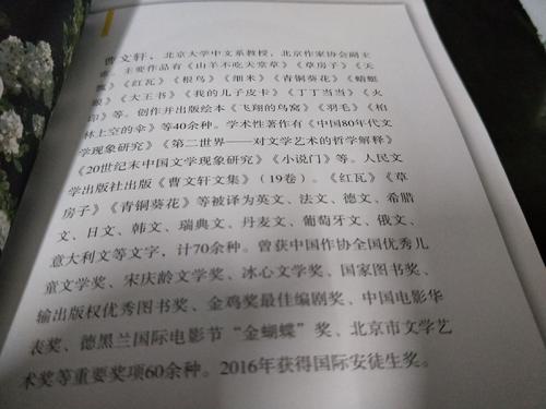 青铜向日葵结局续