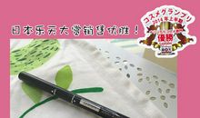 给棕棕的一封信