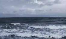 幸福之花开在亲情的枝头