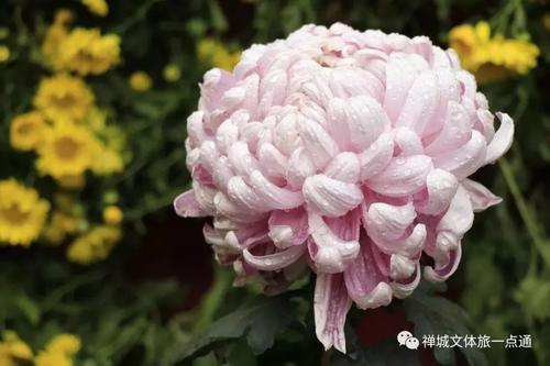 太阳反射着我的心