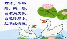 古诗咏鹅扩写