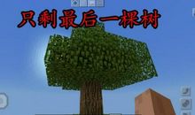 假如地球的生命只剩三天