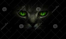 其实，你的眼睛会发光