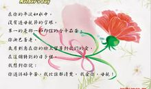 我从母亲那里学到的