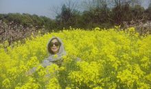 真情，无处不在