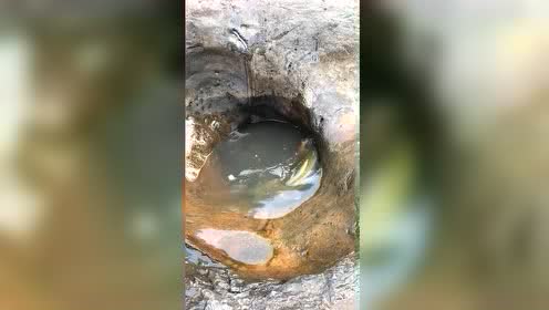 那个时候真的睁开了眼睛