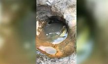 那一次真让我大开眼界