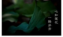 让感恩之花绽放