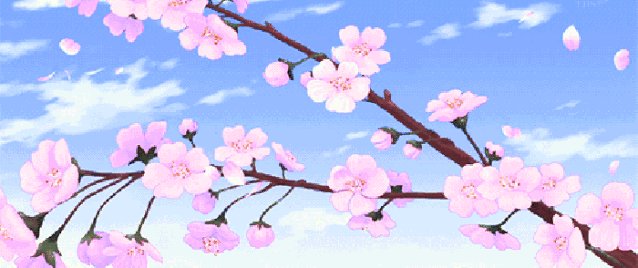 我真的希望盛春来