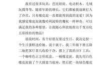 我喜欢作文500字