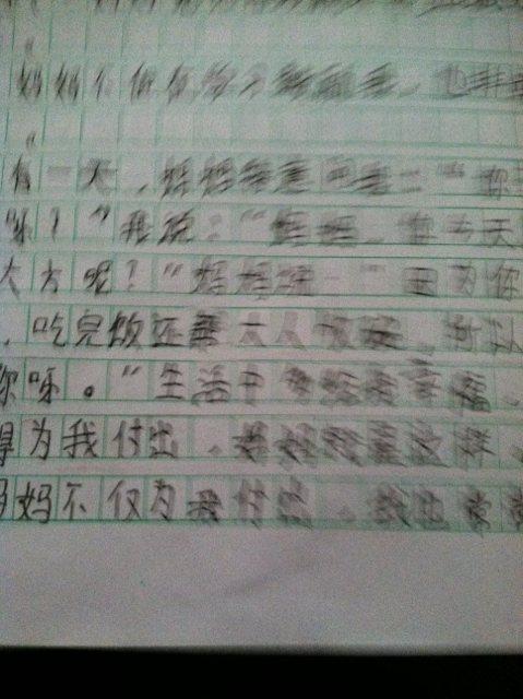 我打过粗心的论文400字