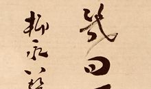 海棠依旧 伊人憔悴_650字