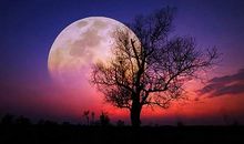 盼望中秋的月亮