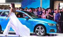 有趣的松果晴雨表