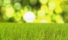 闪闪发亮的温暖