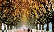 那个有温度的季节