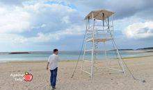 这样的下午真好