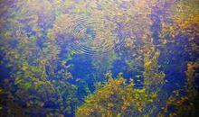 爱在心头口要开