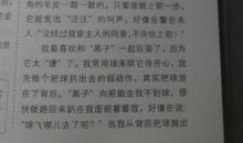 我喜欢的小狗作文400字