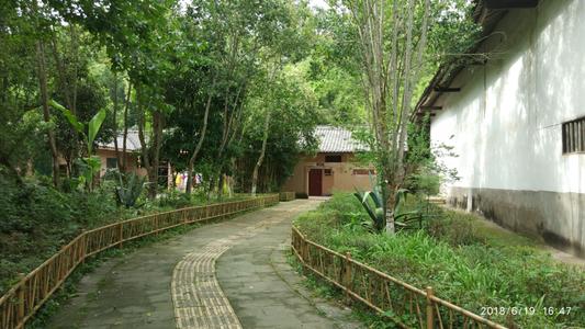 后院