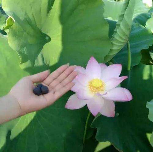 慢一点