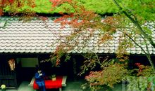 追求自然本真之美