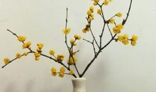 书中自有暗香来