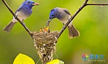 如果我是一支铅笔