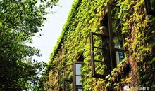 守望走过的拐角