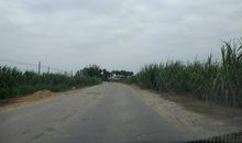 其实地上本没有路