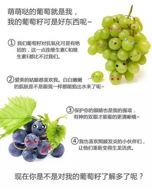 种子的自白