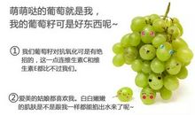 一粒种子的自白