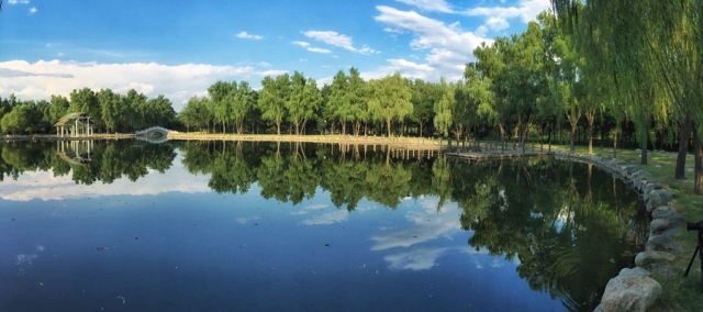 美丽的升溪湖森林公园