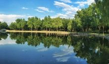 美丽的胜溪湖森林公园