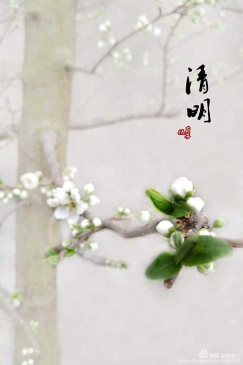 清明节文集
