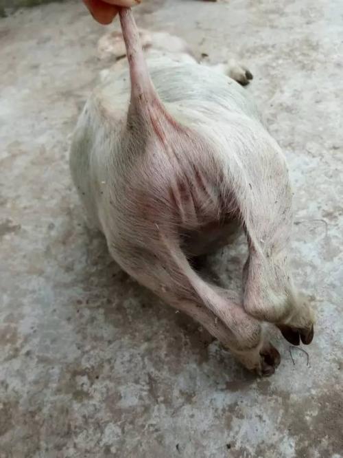 说些新东西