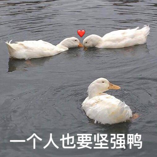 努力成为一个坚强的人