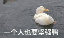 试着做一个坚强的人