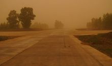 沙尘暴中的挺立